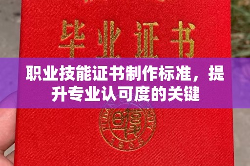 宁洱职业技能证书制作标准，提升专业认可度的关键
