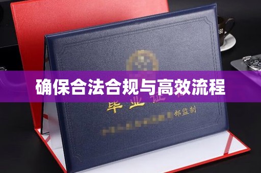 宁洱确保合法合规与高效流程