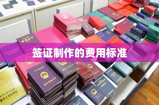 宁洱签证制作的费用标准