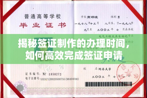 宁洱揭秘签证制作的办理时间，如何高效完成签证申请