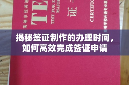 宁洱揭秘签证制作的办理时间，如何高效完成签证申请