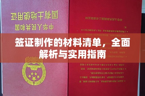 宁洱签证制作的材料清单，全面解析与实用指南