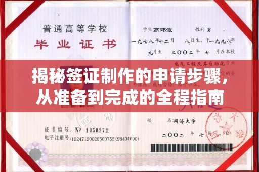宁洱揭秘签证制作的申请步骤，从准备到完成的全程指南