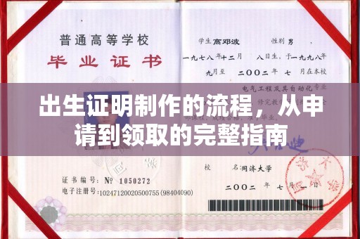宁洱出生证明制作的流程，从申请到领取的完整指南